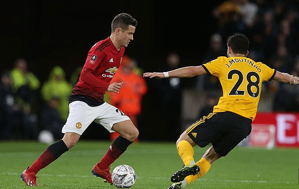 的长期发展 的长期发展